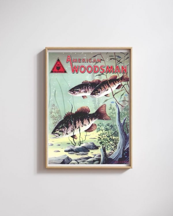 American Woodsman June 1954 – Vintage Fishing Magazine Cover Bass Art Print - Image 3