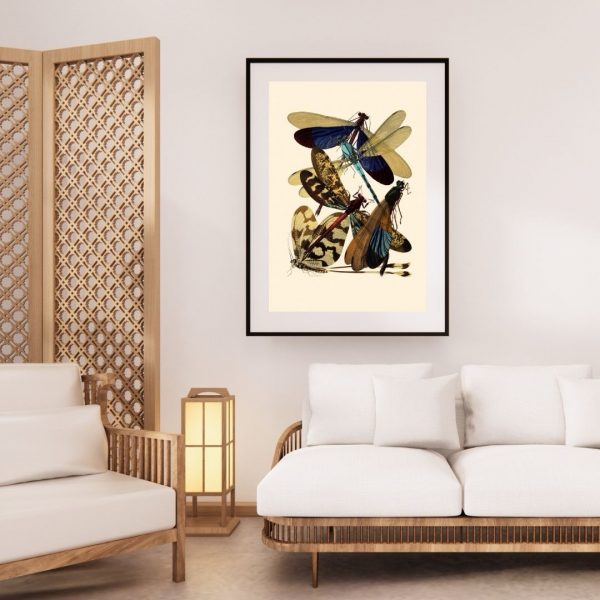 Dragonfly Reverie – Vintage Scientific Insect Art Print - Image 2